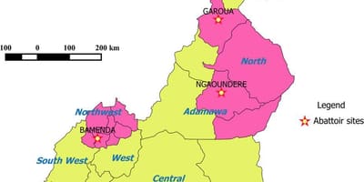 Camerún mostrando rexións mapa